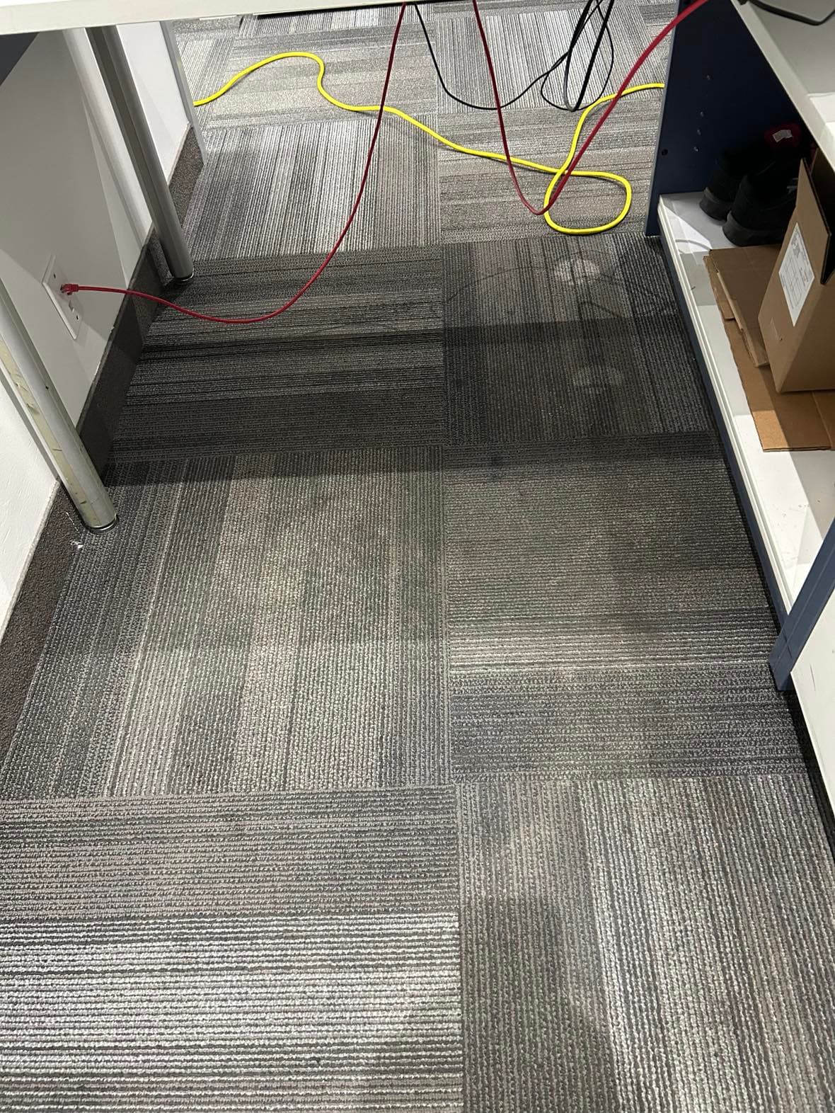 Before Spot Cleaning